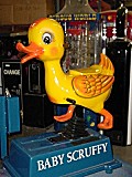 Quacky Duck 