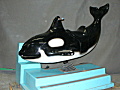 Killer Whale Orka 